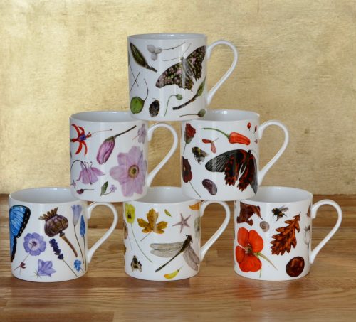 Selection of 6 Mugs