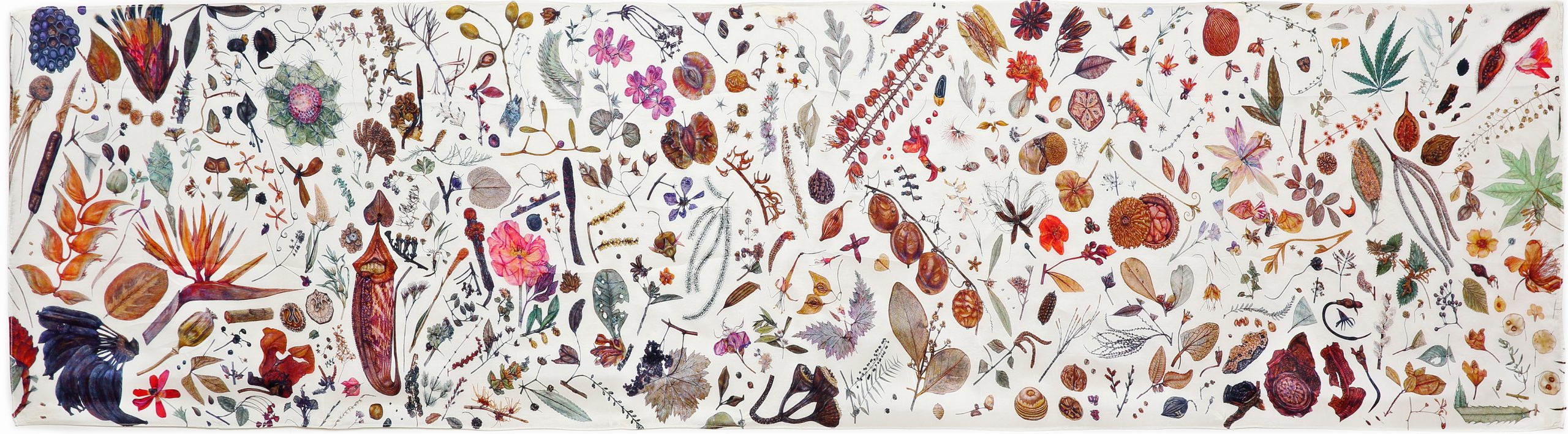 Herbarium Specimen Silk Scarf - Image 2